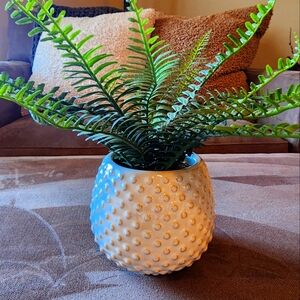 White Textured Planter with Green Fern